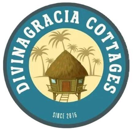 Divinagracia Cottages San Vicente  Ngoại thất bức ảnh