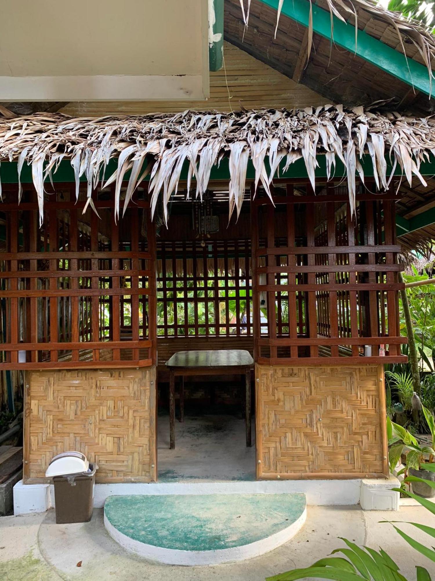 Divinagracia Cottages San Vicente  Ngoại thất bức ảnh